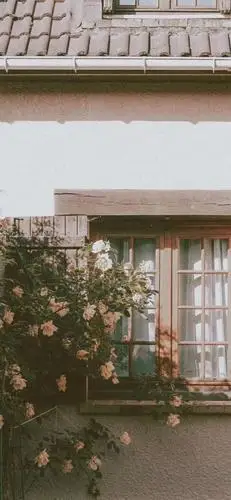 森系文艺小清新壁纸goodlucktoyou