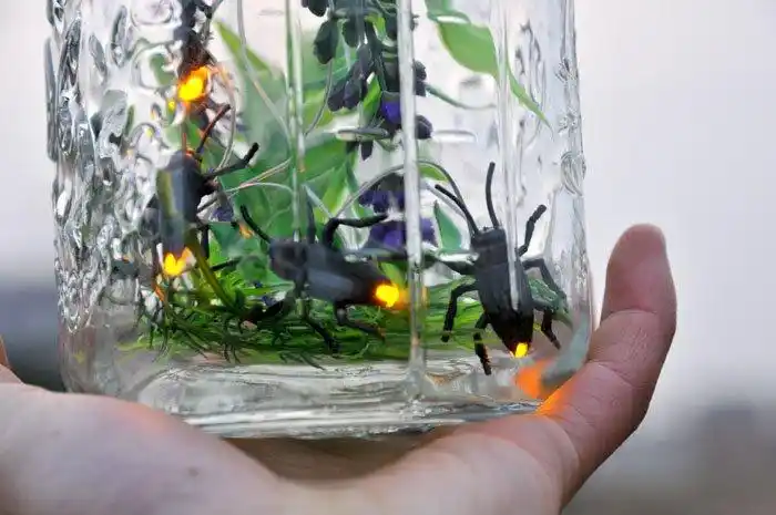 创意新奇特萤火虫罐 阳光罐 情人节女友 儿童