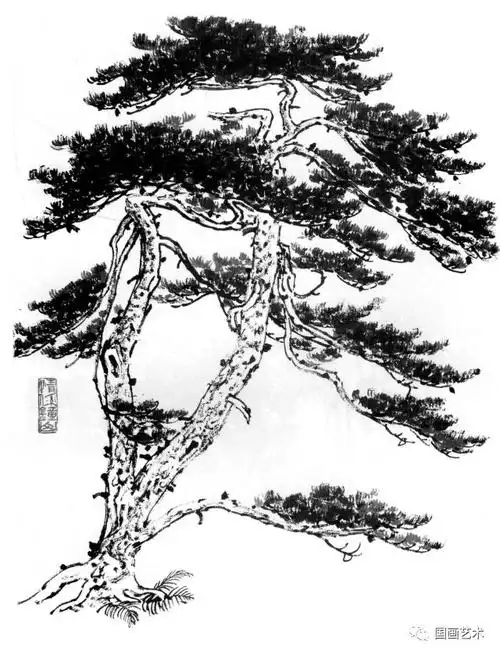 查看精彩图片打开网易新闻 查看精彩图片(来源:《松树百图 画法及理论