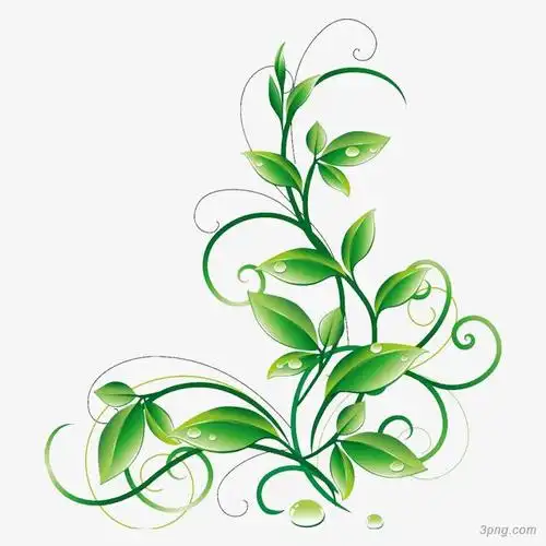 植物树叶png素材透明免抠图片-动植人物