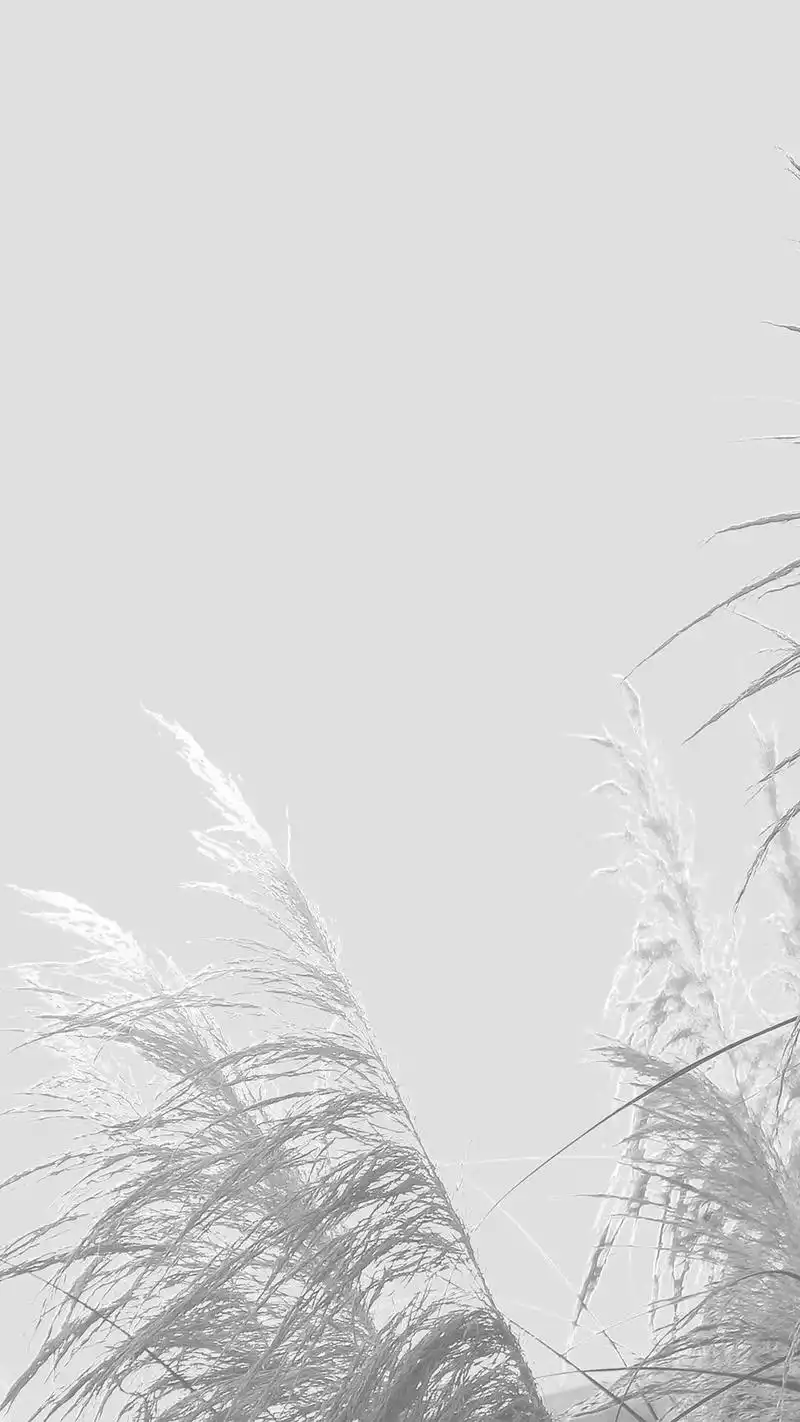 唯美纯白意境创意高清手机壁纸