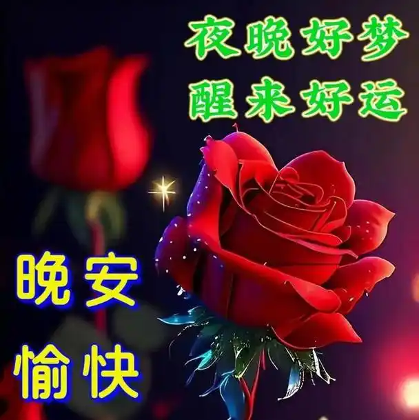 向心爱的人说晚安的唯美甜蜜句子,枕着星光入梦,携着好运相随
