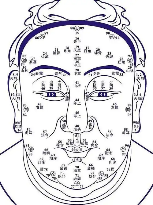 星座屋分享,面相算命图解之流年