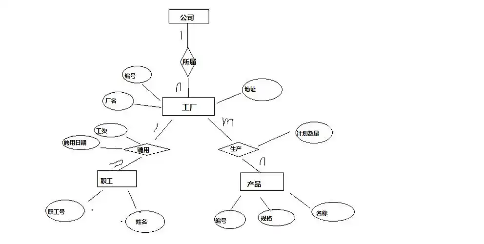 er图画法及例题 er图1对1画法及例题-图片大观-奇异网