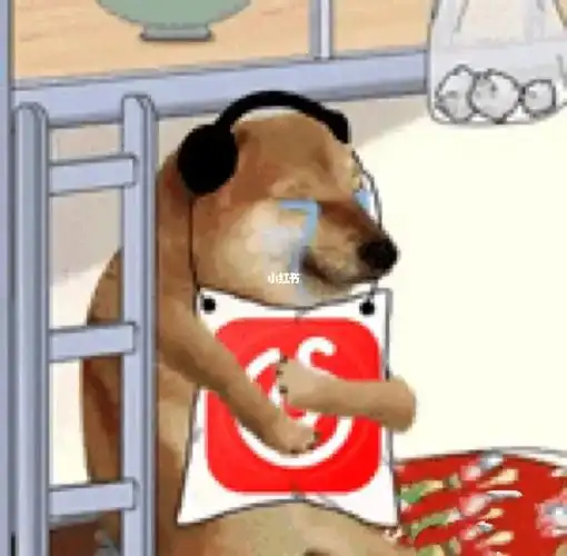 网易云都日推些什么宝藏歌儿啊