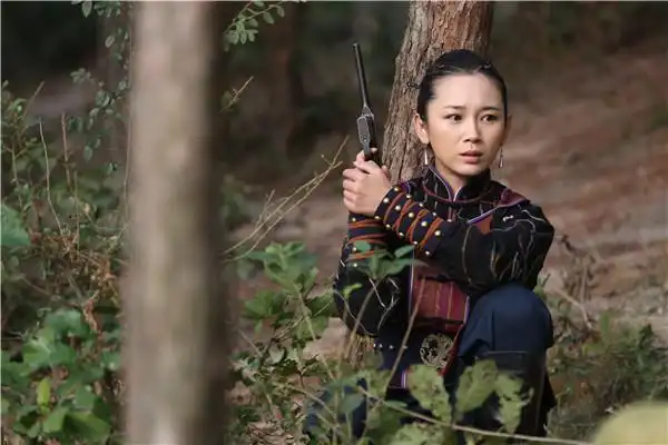 四十二集电视连续剧黑狐之风影分集梗概