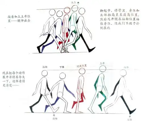 完美动力小课堂:听说你还不会走路