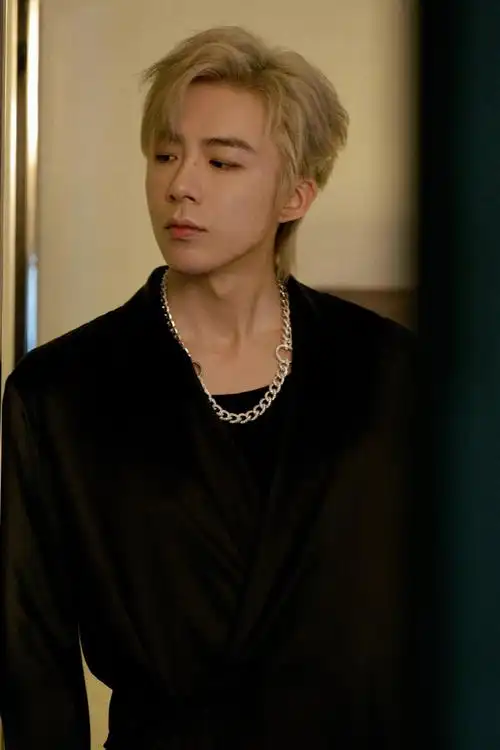 刘宇宁笑红尘##刘宇宁湾区升明月笑红尘现场