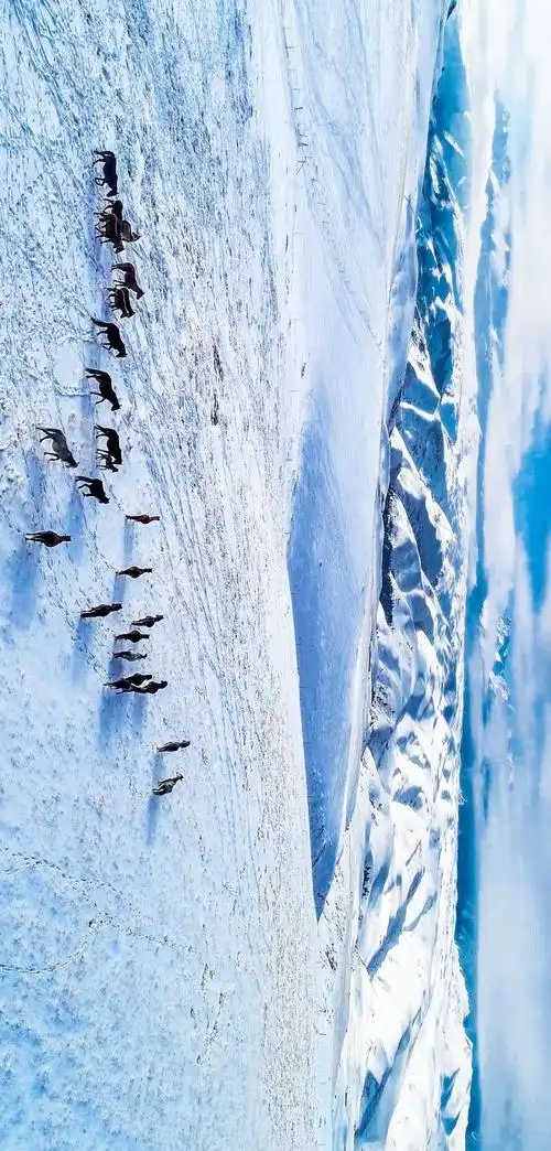 青藏高原_新浪财经_新浪网