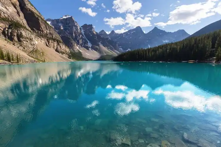 高清#高清壁纸# - 历程——的快手