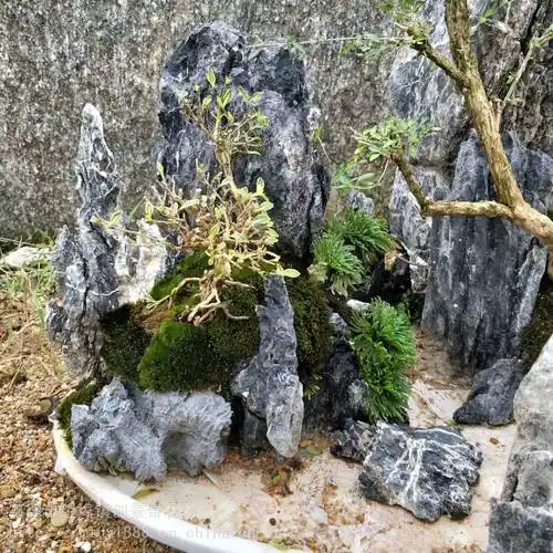 大气的青龙石中式山水水陆缸石青龙石微景观造景石