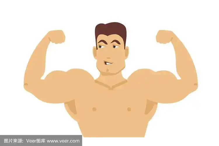 男性健美运动员的躯干.平面设计.