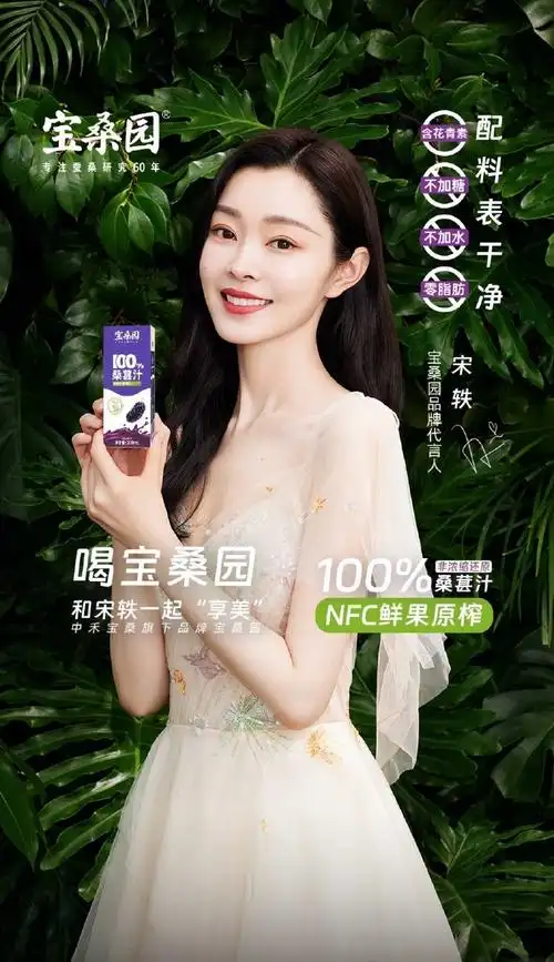 宝桑园品牌代言人宋轶