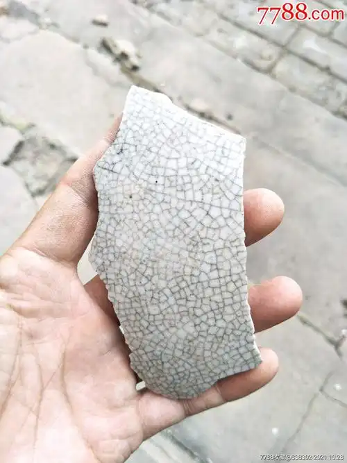 清代哥窑哥釉鱼子纹开片瓷片残片临清运河古玩店万枚古陶瓷标本馆