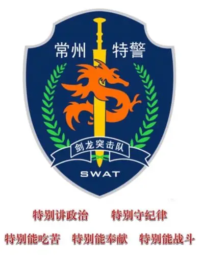 巡特警支队便衣队重拳出击——打响新年第一炮