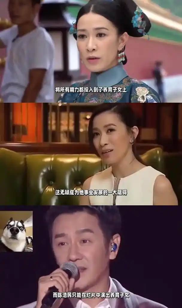 佘诗曼与陈浩民的不同命运:一个荣耀时刻,一个烂片之旅 佘诗曼和