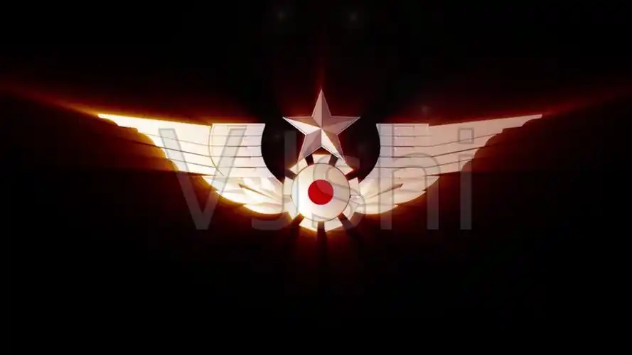 陆军胸标展开_1920x1080_高清视频素材下载(编号:3628268)_影视包装