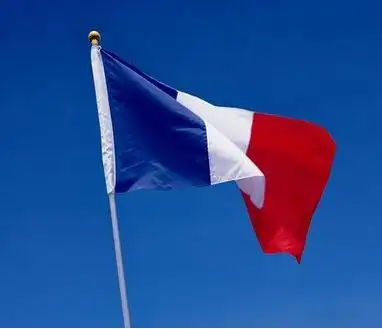 厂家直销90*150法国国旗 各种旗帜国旗厂家批发-阿里巴巴