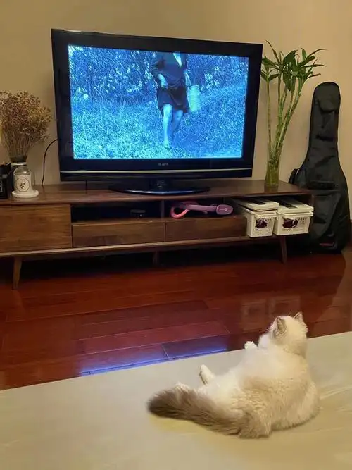 家里的宝宝都喜欢看电视