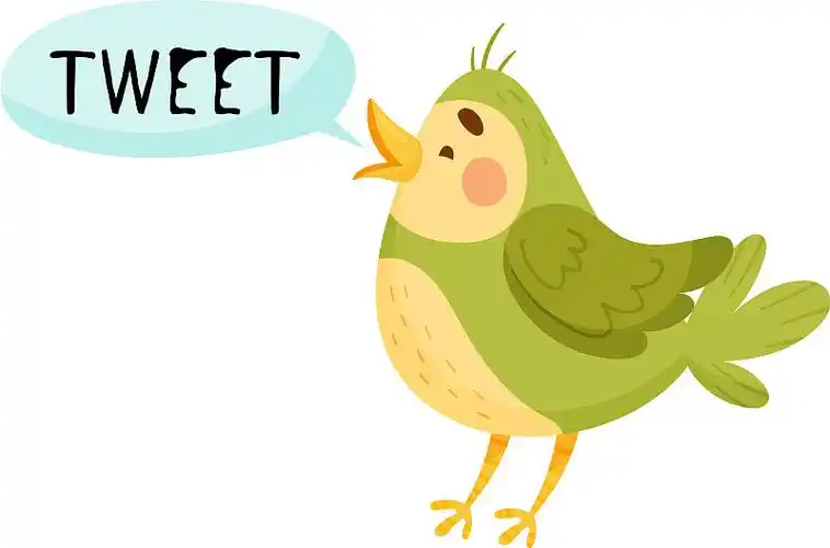 小鸟张着嘴叽叽喳喳叫图片