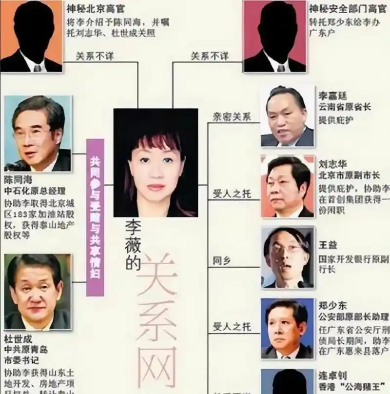 21世纪初的2001年,李嘉廷因多次触犯法律而被置于审查之下.