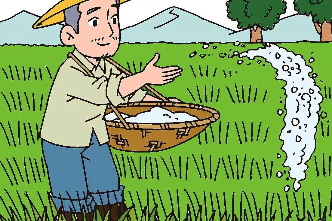 年后大蒜追肥有讲究,复合肥和尿素不能随便用,科学选择很关键!