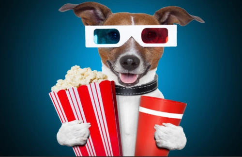 funny的比较级funnyer是还是more funny?