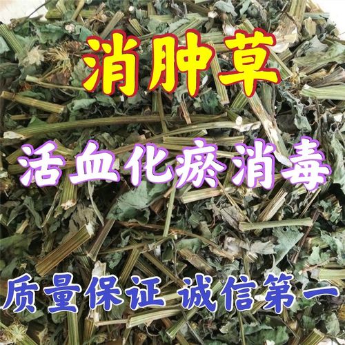 中药材消肿化瘀草野生草 正品野生消肿草消肿化瘀草
