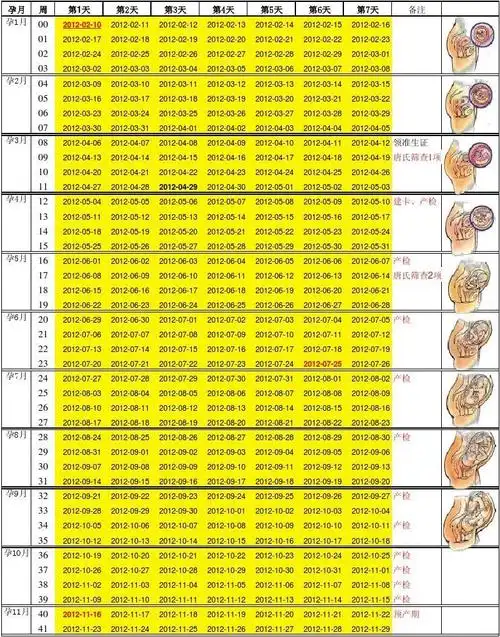 即可自动计算和跟踪预产期