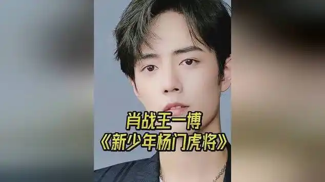 肖战王一博《新少年杨门虎将》|国语歌曲|娱乐爆料|娱乐资讯|乐器