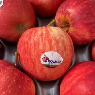 南非进口冰糖小苹果当季时令新鲜水果嘎啦富士加力牛顿苹果3斤