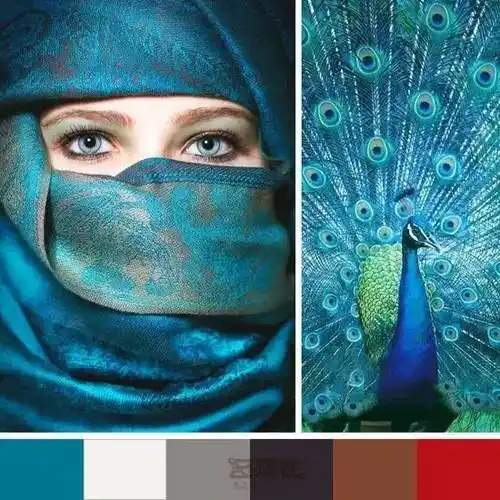孔雀蓝最佳色彩搭配