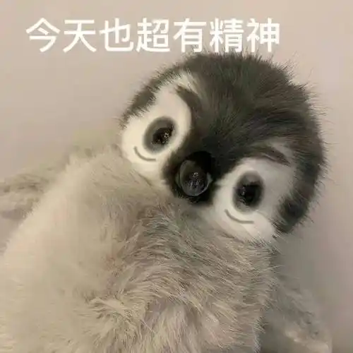 我不允许还有人没有这组沙雕表情包!