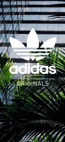 adidas - 堆糖,美图壁纸兴趣社区