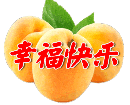 432_350gif 动态图 动图