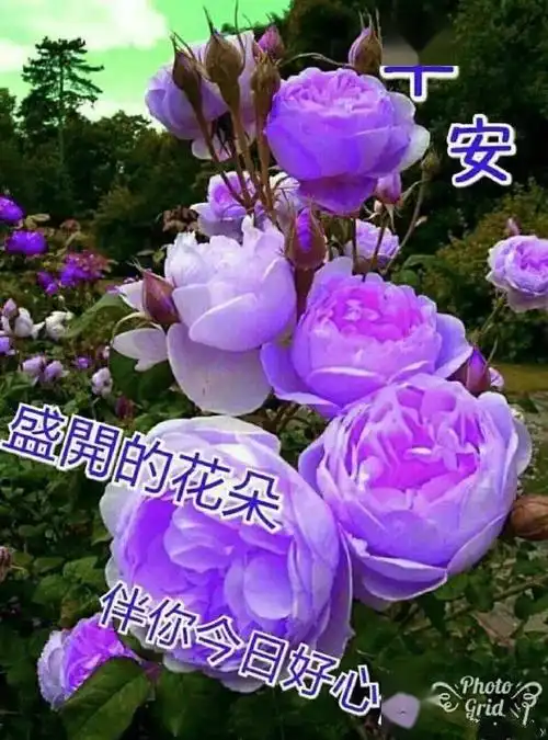 2021微信新版群发图片祝福句子朋友圈新版非常漂亮早上好表情动图