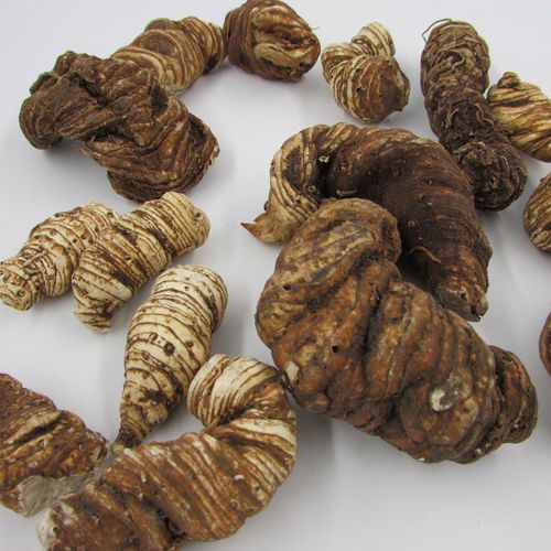 重楼七叶一枝花蚤休草河车粉质滇重中药材100g包邮其他药食同源食品