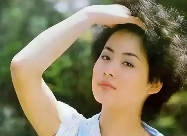 夏菁|贾宝玉|陶慧敏|佟瑞欣_网易订阅