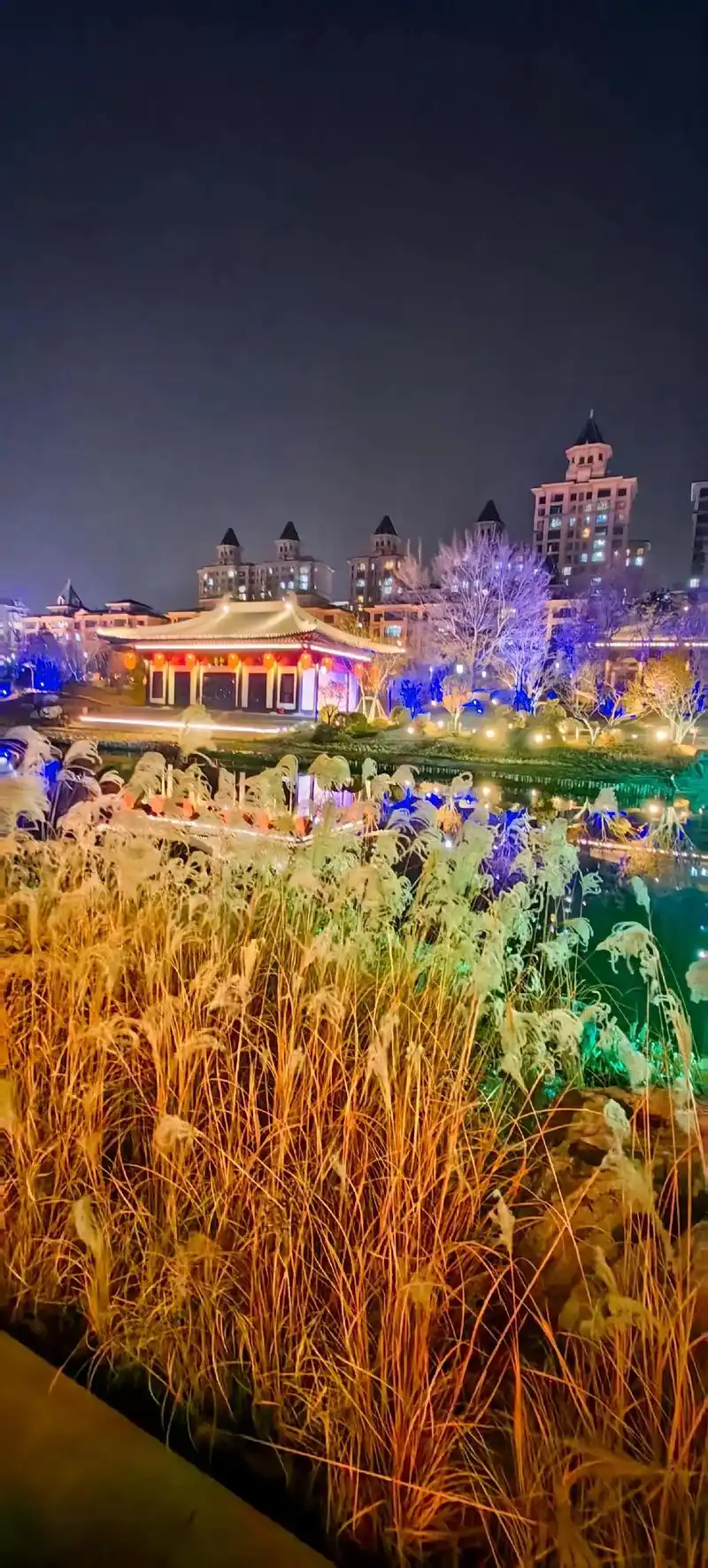 相约大美栾城夜景,这么近那么美.友友喂我说出去公园美拍,其实 - 抖音