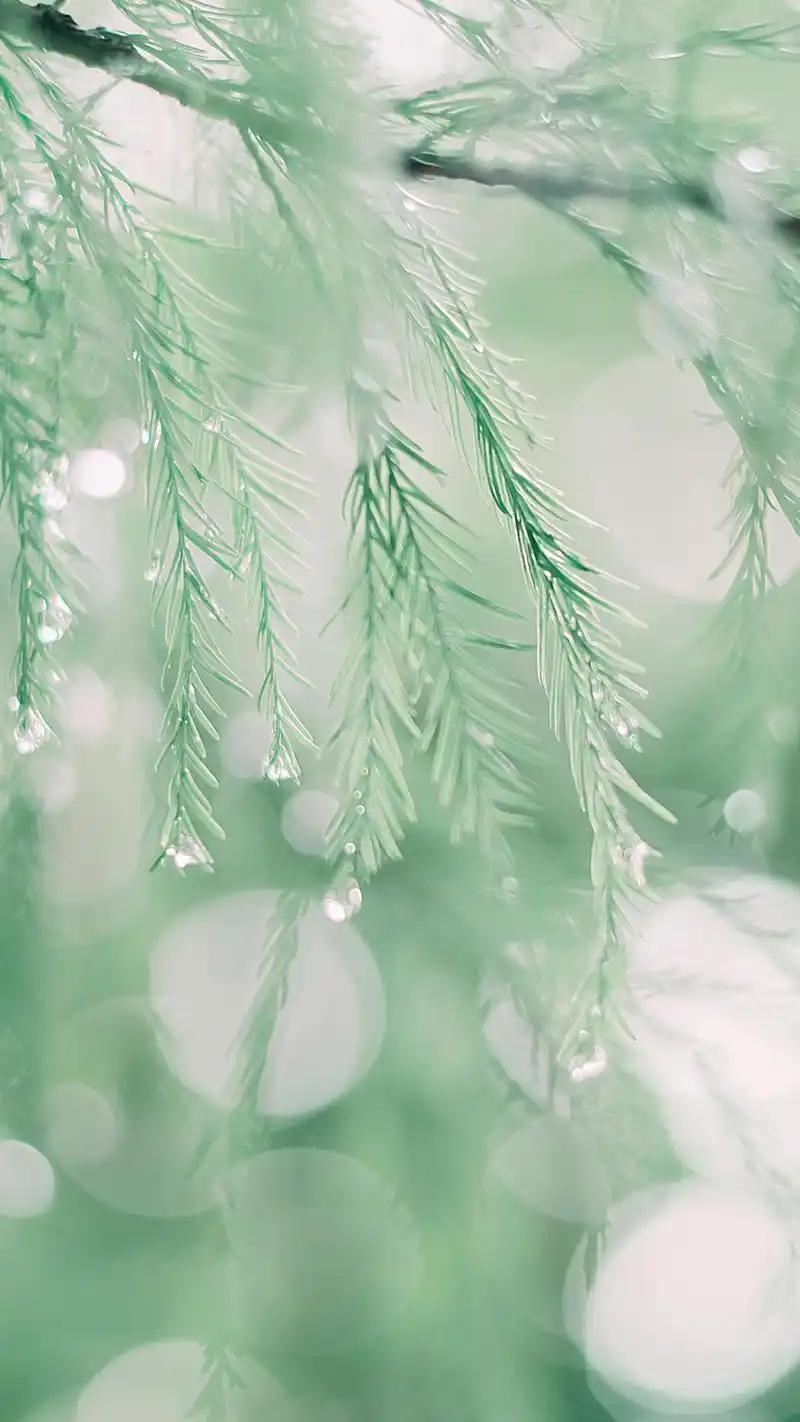 日系小清新高清唯美手机壁纸图片