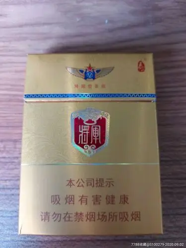 将军中支