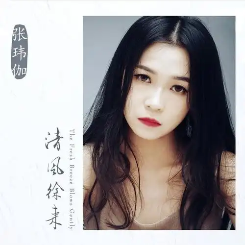 张玮伽一开始你就不是认真的