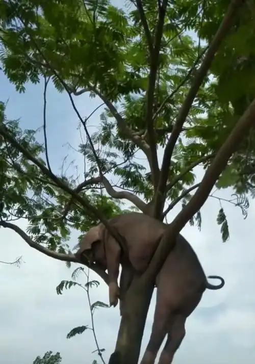 三看《hello树先生》才懂:发小高鹏3次相助,是对树哥最狠的折磨_香烟