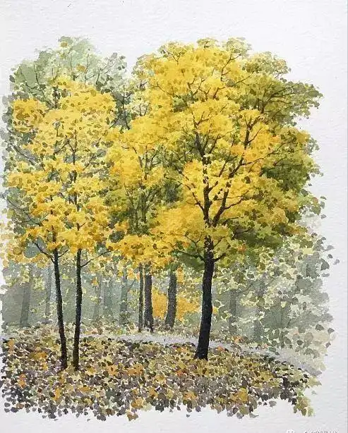 远处的树林,是点面结合的表现手法,色彩也降低了不少纯度,很好地衬托