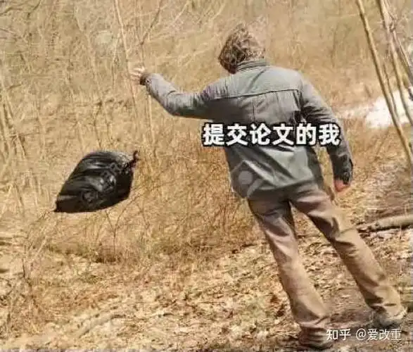 关于写论文有哪些表情包