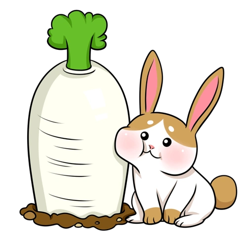 秋后的萝卜赛人参这样搭配吃更健康