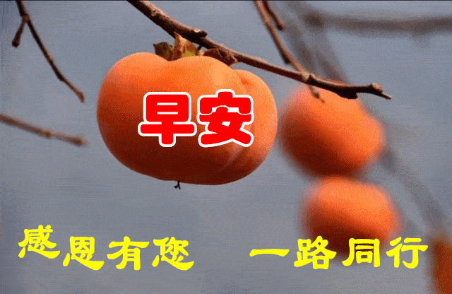 11月5日最漂亮早上好动态表情图片大全早晨好动图美图大全