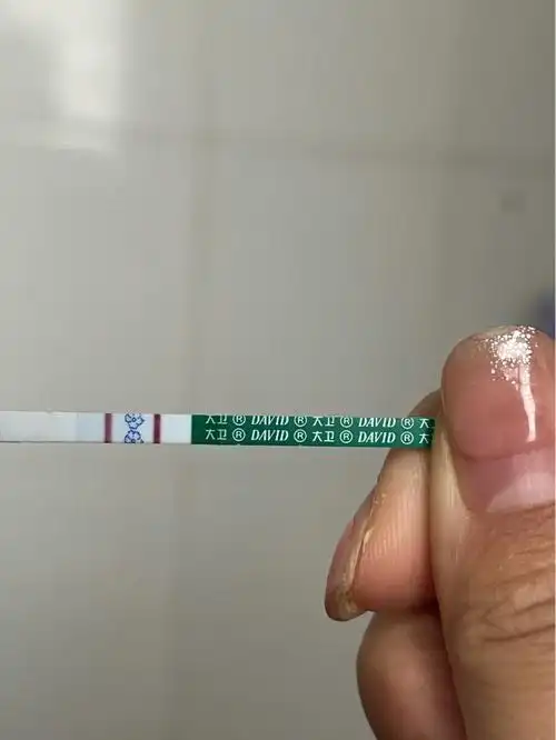 大卫离强阳还差一点,只有一根早孕试纸了,过两天再测吧,看到强阳能