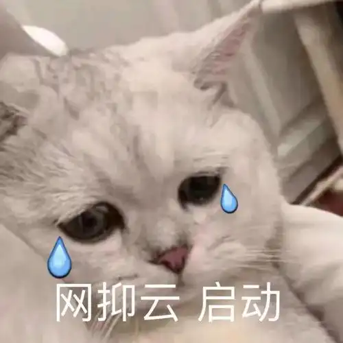 适合日常聊天的搞怪沙雕表情包来啦