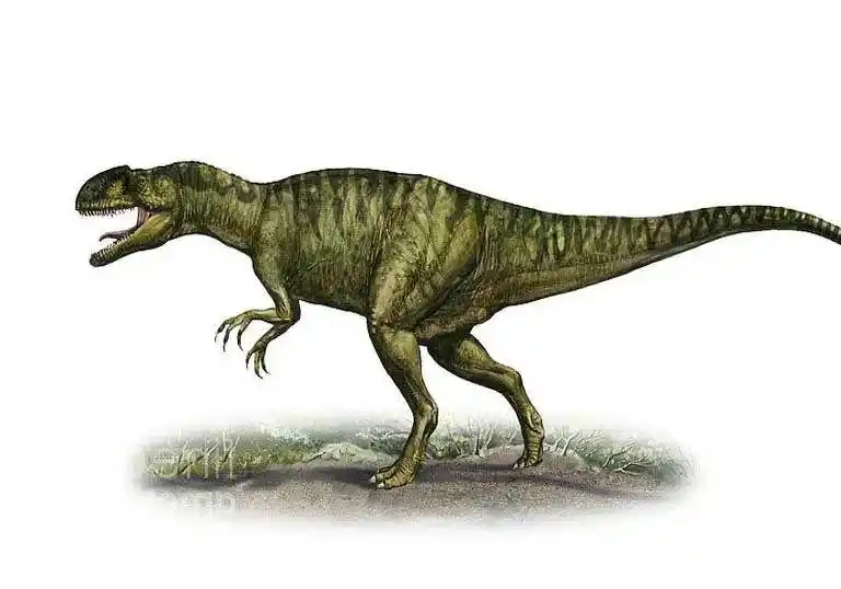 中生代鲨齿龙恐龙,锯齿状牙齿,长达8米,曾与霸王龙分庭抗礼!